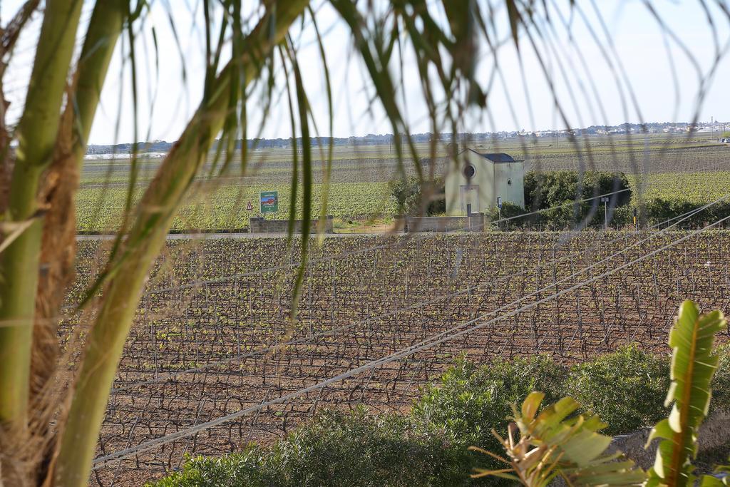 Eco Green La Vigna Leverano Cameră foto