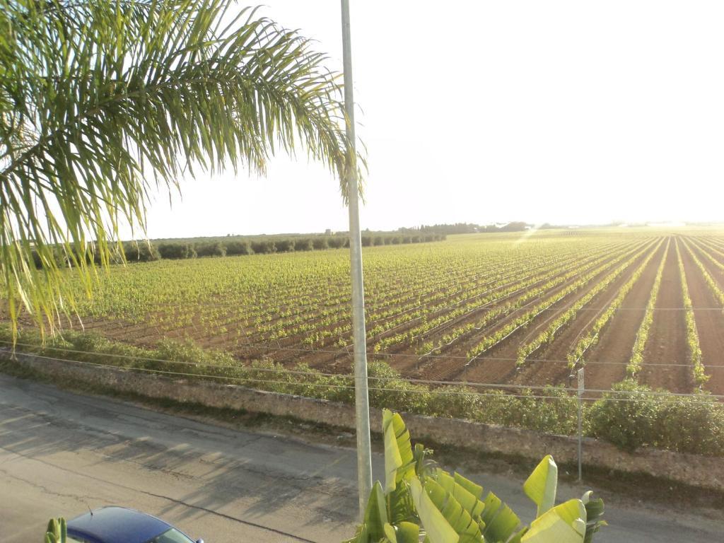 Eco Green La Vigna Leverano Cameră foto